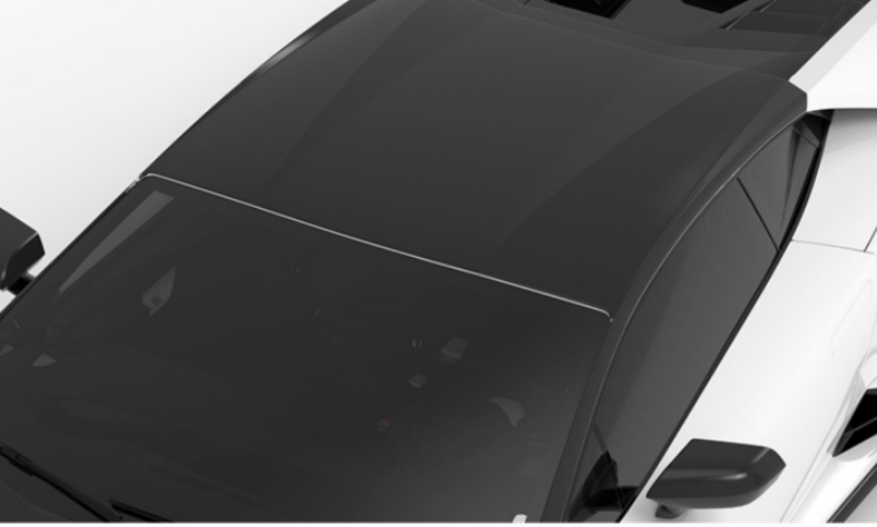 1016 Industries Lamborghini Huracan Tecnica Roof