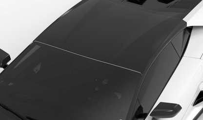 1016 Industries Lamborghini Huracan LP610 Roof