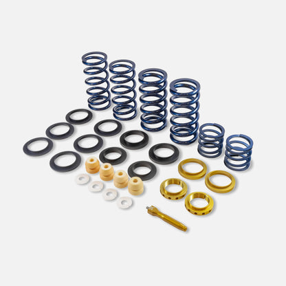 RYFT Performance Spring Kit - Ferrari 458 Italia | Speciale | Aperta