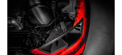 Eventuri Audi RS3 Carbon Headlamp Race Ducts for Stage 3 Intake