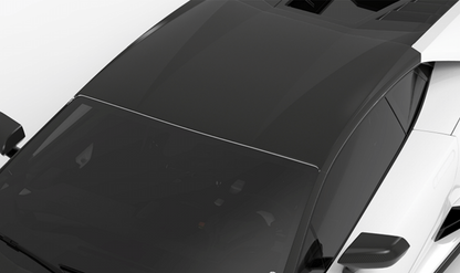 1016 Industries Lamborghini Huracan LP580 Roof