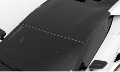 1016 Industries Lamborghini Huracan Tecnica Roof